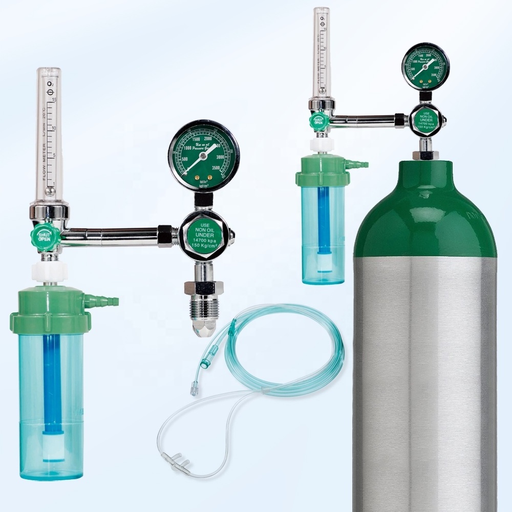 Customized Inlet Connection Buoy Type Oxygen Inhaler Hospital Bull Nose Medical Oxygen Pressure Regulator with Humidified Bottle