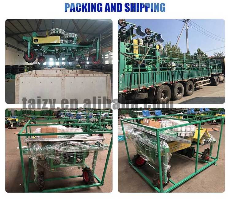 12 rows onion tomato cabbage seedling planter transplanting machines for vegetables