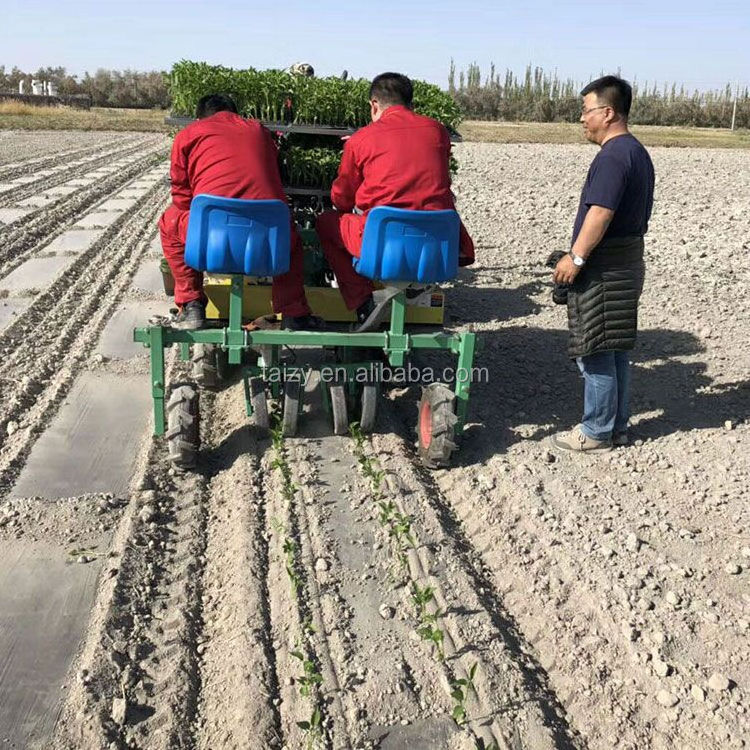 12 rows onion tomato cabbage seedling planter transplanting machines for vegetables