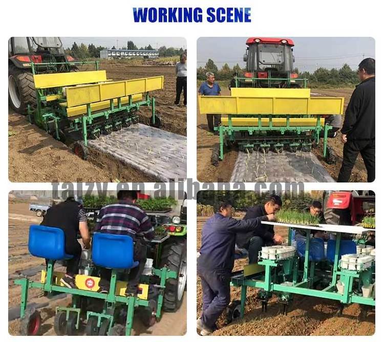 12 rows onion tomato cabbage seedling planter transplanting machines for vegetables