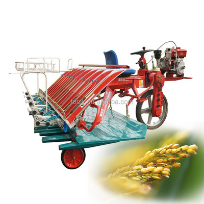 high efficiency paddy rice transplanter 8 rows planting machine