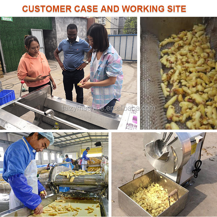 Galangal powder processing machine ginger peeling washing machine plantain slicer