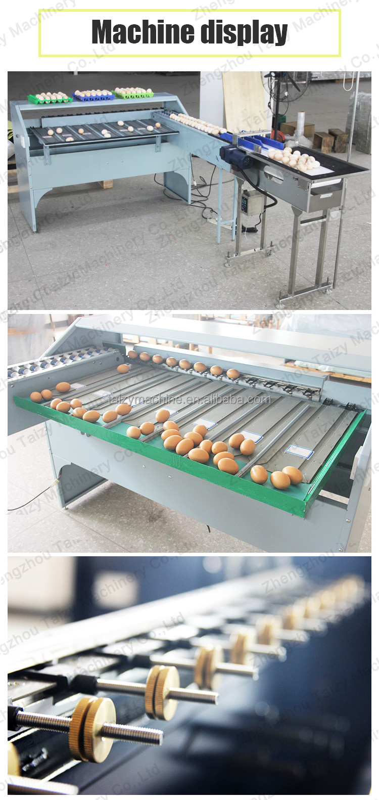 Automatic Egg Grading Machine Vacuum Egg Lifter Small Egg Grader Sorter Packer Machine