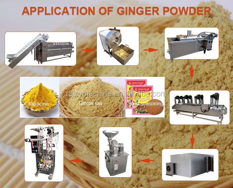 Galangal powder processing machine ginger peeling washing machine plantain slicer