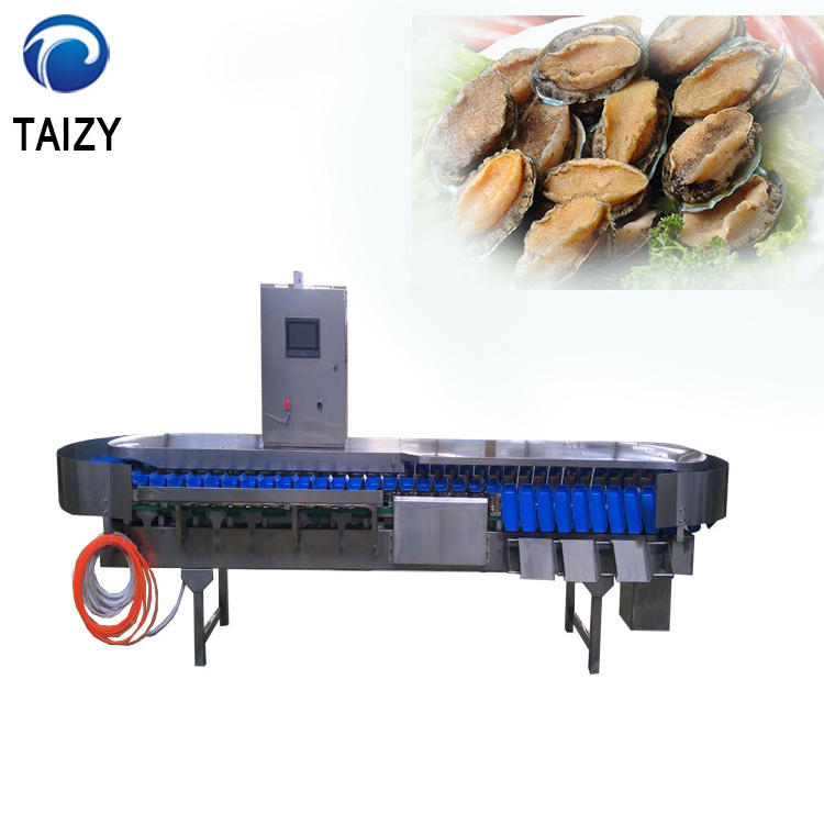 Abalone sea cucumber chicken legs chicken wings weight sorting machine