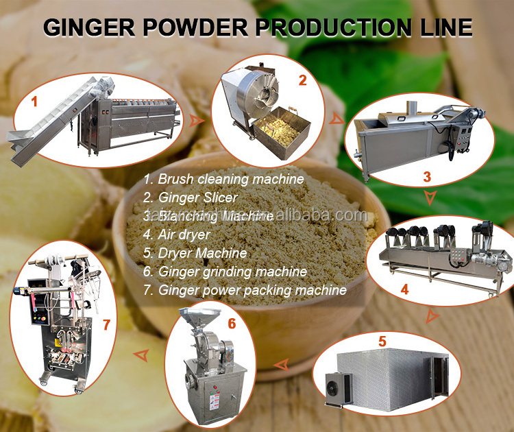 Galangal powder processing machine ginger peeling washing machine plantain slicer