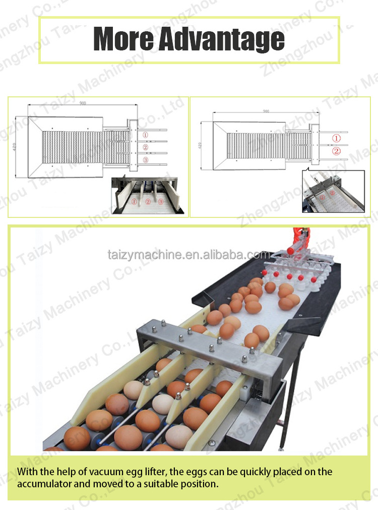 Automatic Egg Grading Machine Vacuum Egg Lifter Small Egg Grader Sorter Packer Machine