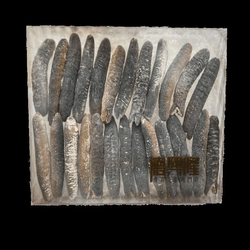 Deep-Sea Fishing Extremely Yummy Frozen Dried White Sea Cucumber Price Of Dried Trepang Sea Cucumber