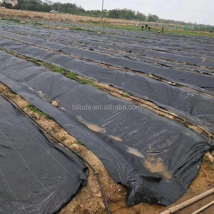 best quality PP nonwoven geotextile membrane  fabric  sheet for landfill construction plant pot grow bag drainage retaining wall