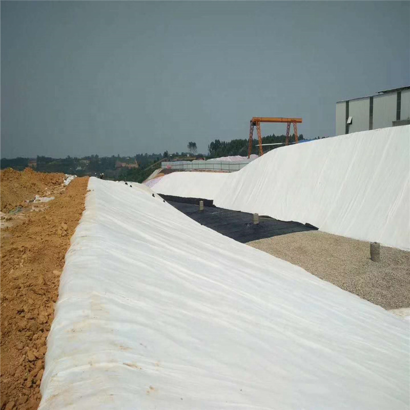 Polyester Reinforced Fabric Non Woven Geotextile 1000g m2 Price