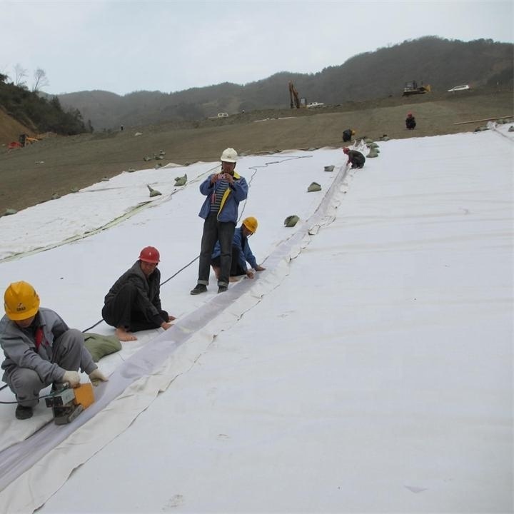 PET Filament Spunbond needlepunched Nonwoven Geotextile Fabric Rolls For Road Construction