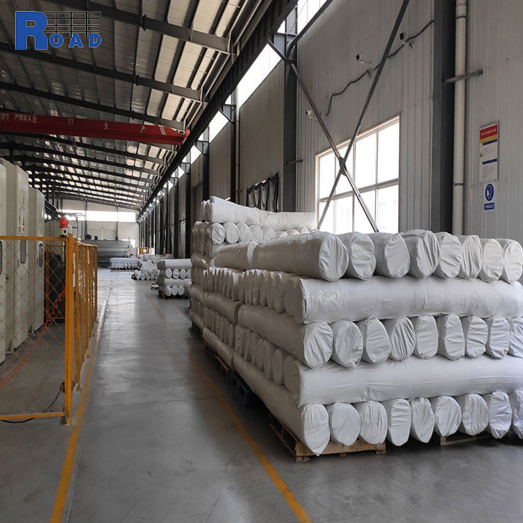 Nonwoven Filtration Geotextile Fabric PET filament geotextile 250g/m2 price