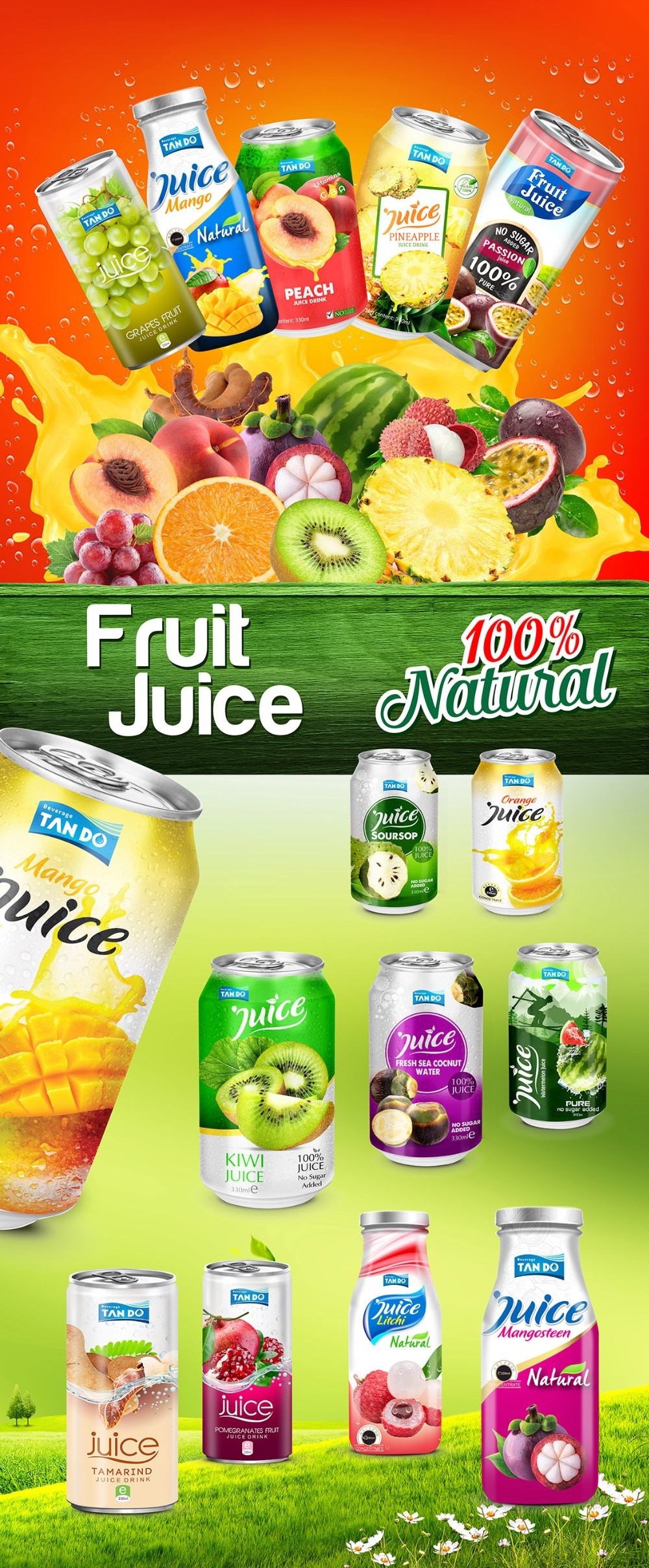 Tan Do Fruit Juice  drinks Mango Pineapple Soursop in Can Orange Vietnam Guava Tropical