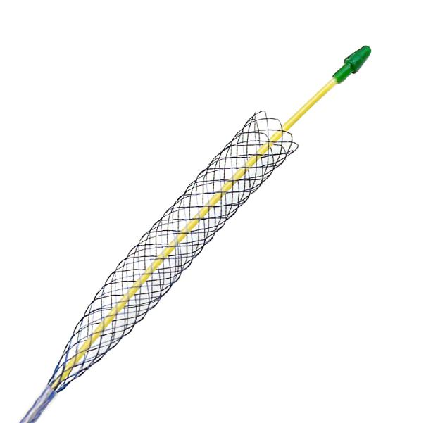 Nitinol self-expanding stent implant material ERCP bile duct stent