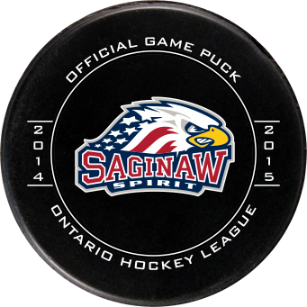 high quality hockey puck sports equipment personalized custom hockey pucks bulk custom printed logo hockey pucks