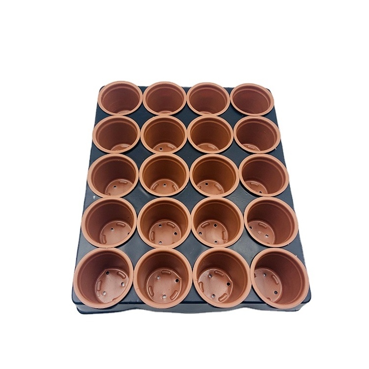 Super Quality 20 Holes Seedlings Trays Wholesale Plastic Trays Seedling