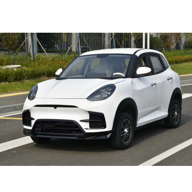 New energy vehicle mini car new energy vehicles mini electric 4 wheeler 2 seater 24v electric cars for kid and adult