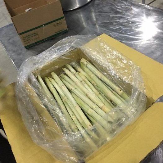 (HOT SALE 2023) Frozen IQF Sugar Cane Peeled Best Price From Vietnam