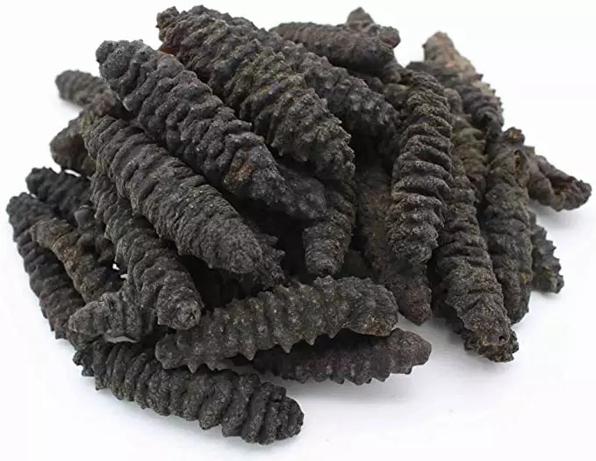 Natural sea cucumber high quality, dried sea cucumber rich nutrition wholesale price