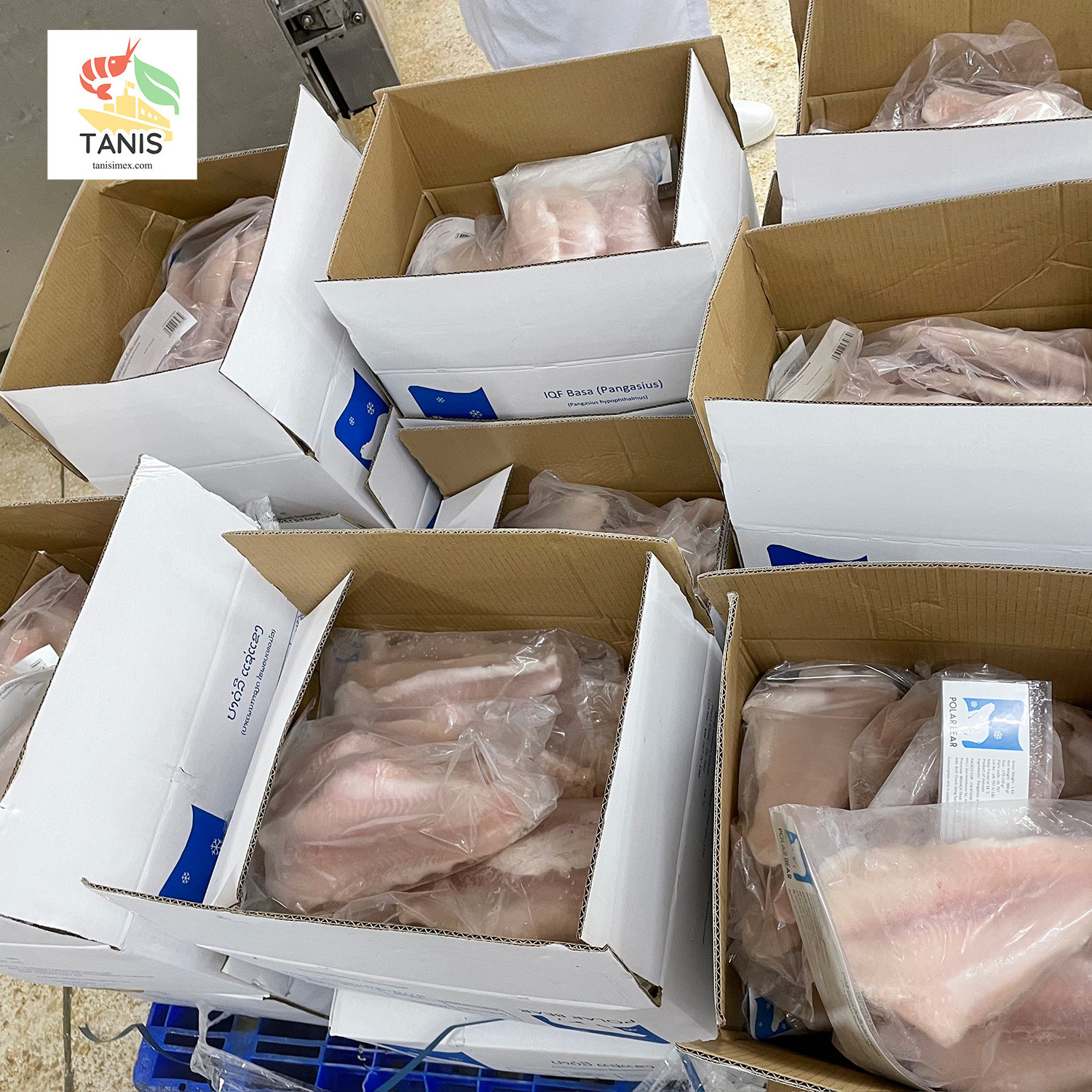 Frozen IQF Basa Pangasius Fillet with High Standard for export Vietnam Supplier 100% Cream Dory fish