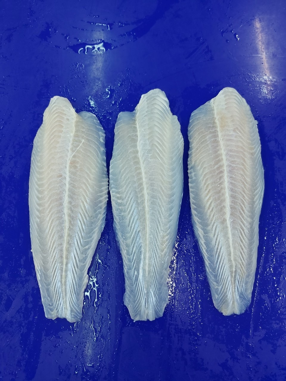 Whole Round Butterfly Basa Fish Swai Fish Cream Dory fish