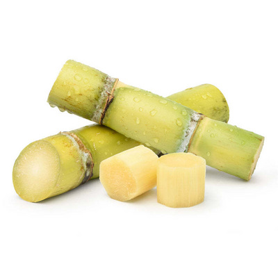 (HOT SALE 2023) Frozen IQF Sugar Cane Peeled Best Price From Vietnam