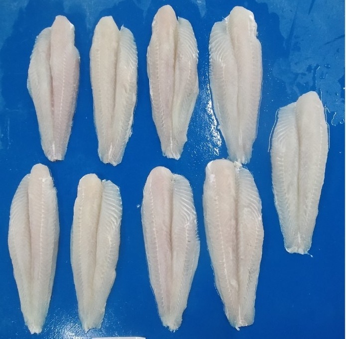 VIETNAM FARM-RAISED DORY FISH: WHOLESALE PANGASIUS FILLET WELLTRIMMED EXPORT