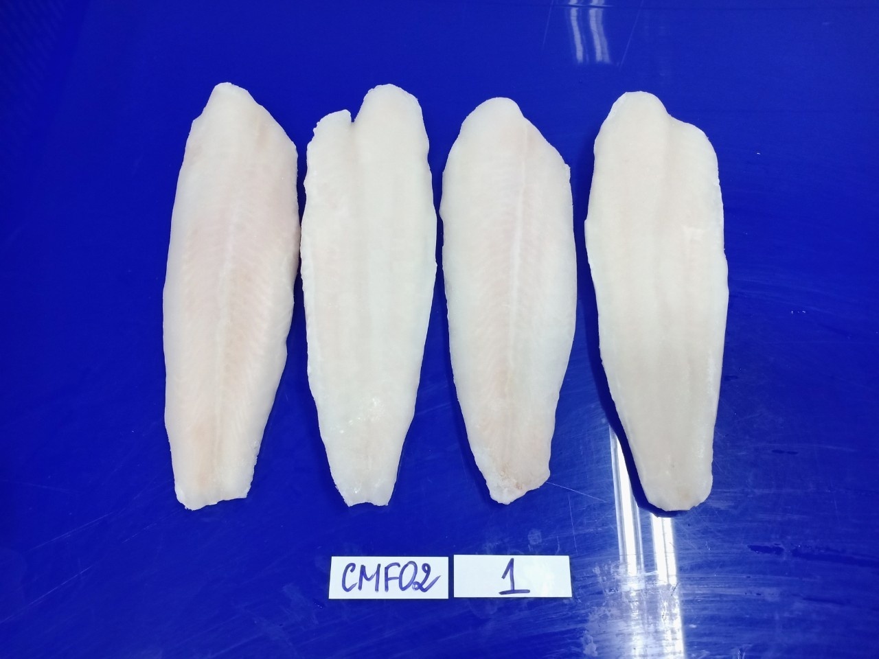 High Quality Frozen Pangasius Fillet/ Basa Fish/ Cream Dory Fish From Vietnam Factory