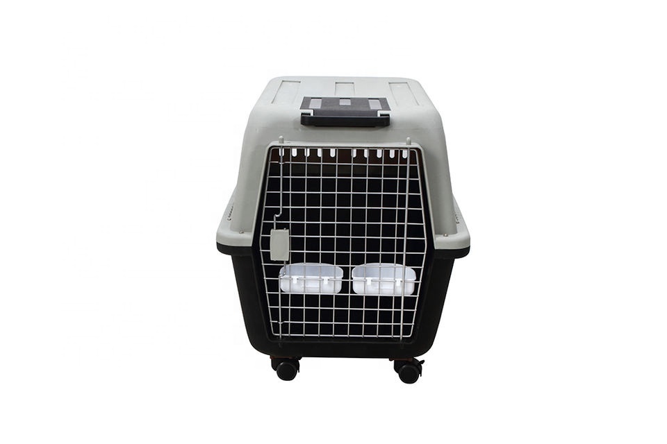 Pet Products Travel Products Small Animal Cat Dog Hard-Sided Carrier