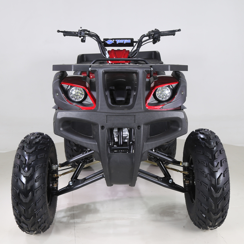 Tao Motor Steel Automatic Quad Bike 250cc Atv 250cc 4x4 for Adult Quad Bike Electric Start Atv 125cc Chain Drive Rear Disc Brake