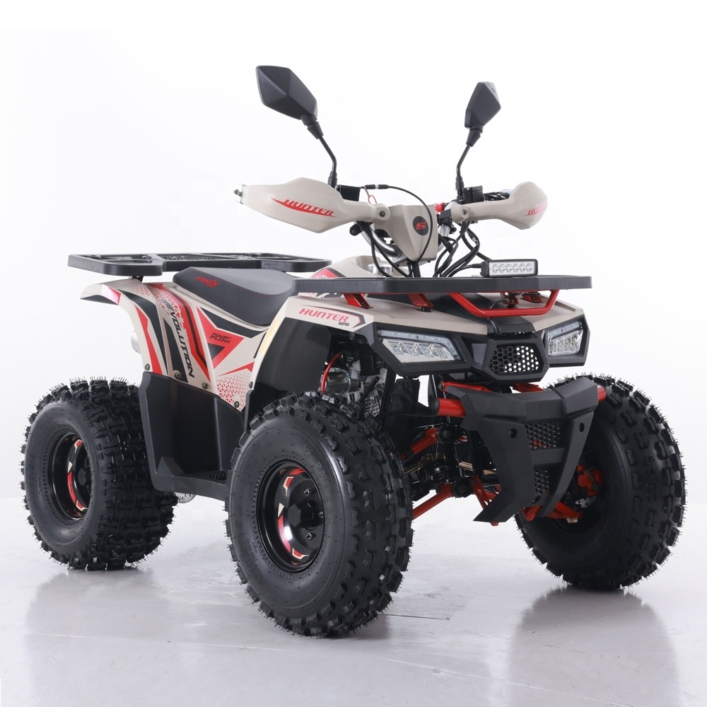 Tao Motor 2024 New ATV 125 Cheap Chinese Automatic Chain Drive Farm ATV 125cc ATV