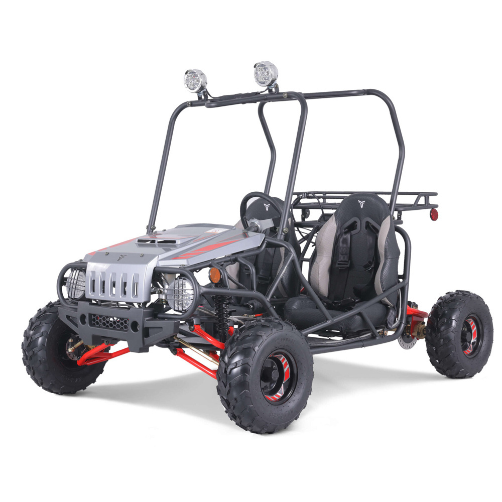 Tao Motor 125cc Buggy Car 4x4 Adults Dune Buggy for Adults Automatic Mini Car 150 Cc 36V Electric Start Chain Drive Gas / Diesel