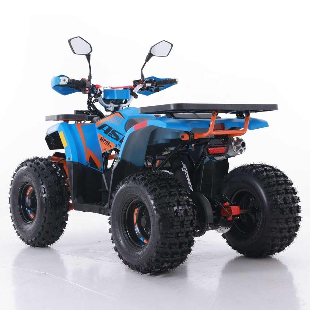 Tao Motor ATV 110 Customized All-terrain Four-wheel Beach Buggy Double Four-wheeler Adult Motor 125cc Automatic 12V 5AH Farm ATV