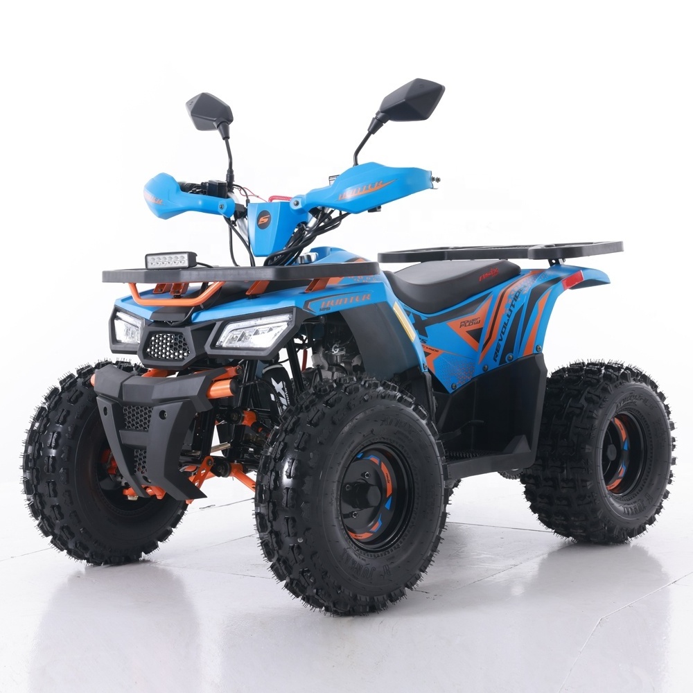 Tao Motor ATV 110 Customized All-terrain Four-wheel Beach Buggy Double Four-wheeler Adult Motor 125cc Automatic 12V 5AH Farm ATV