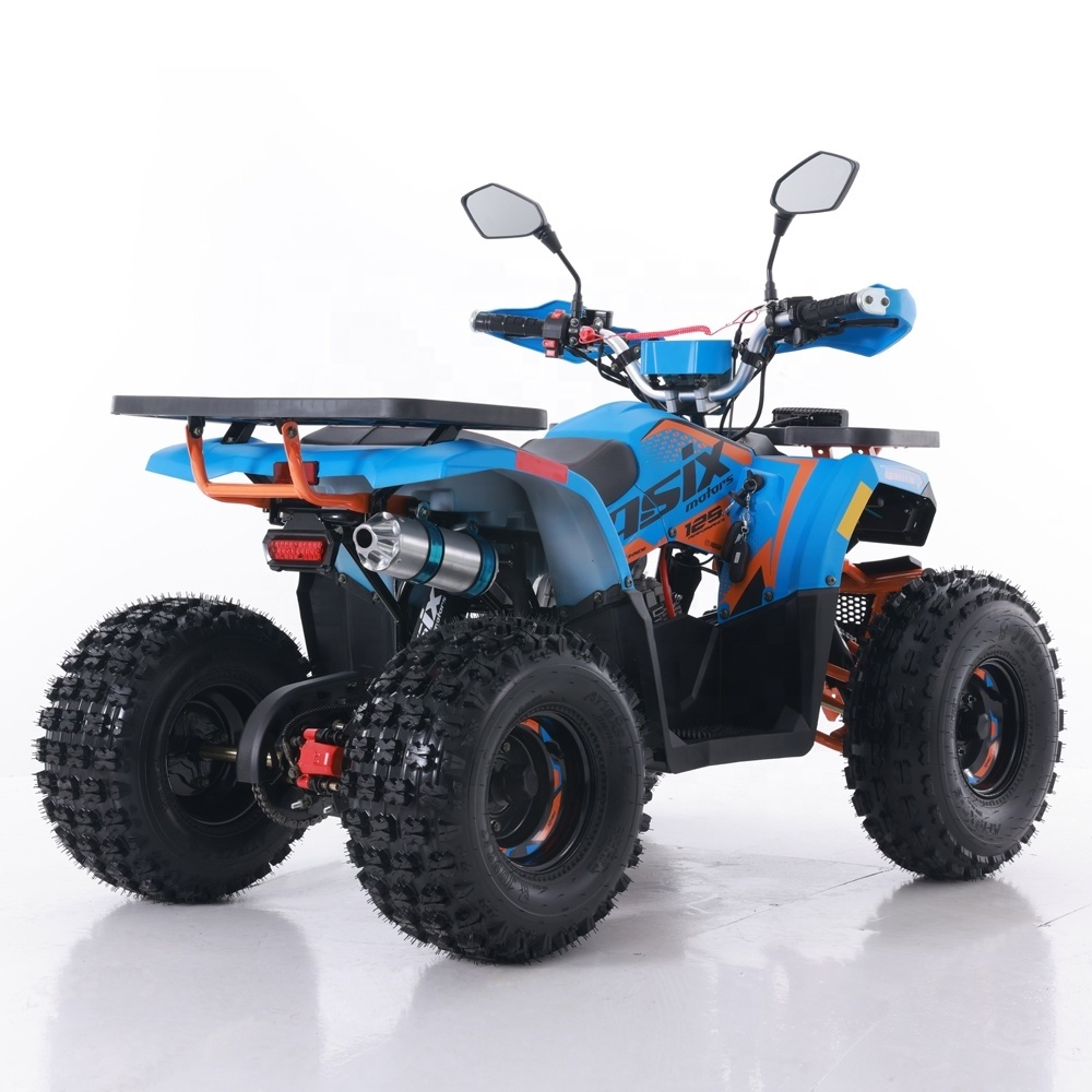 Tao Motor ATV 110 Customized All-terrain Four-wheel Beach Buggy Double Four-wheeler Adult Motor 125cc Automatic 12V 5AH Farm ATV