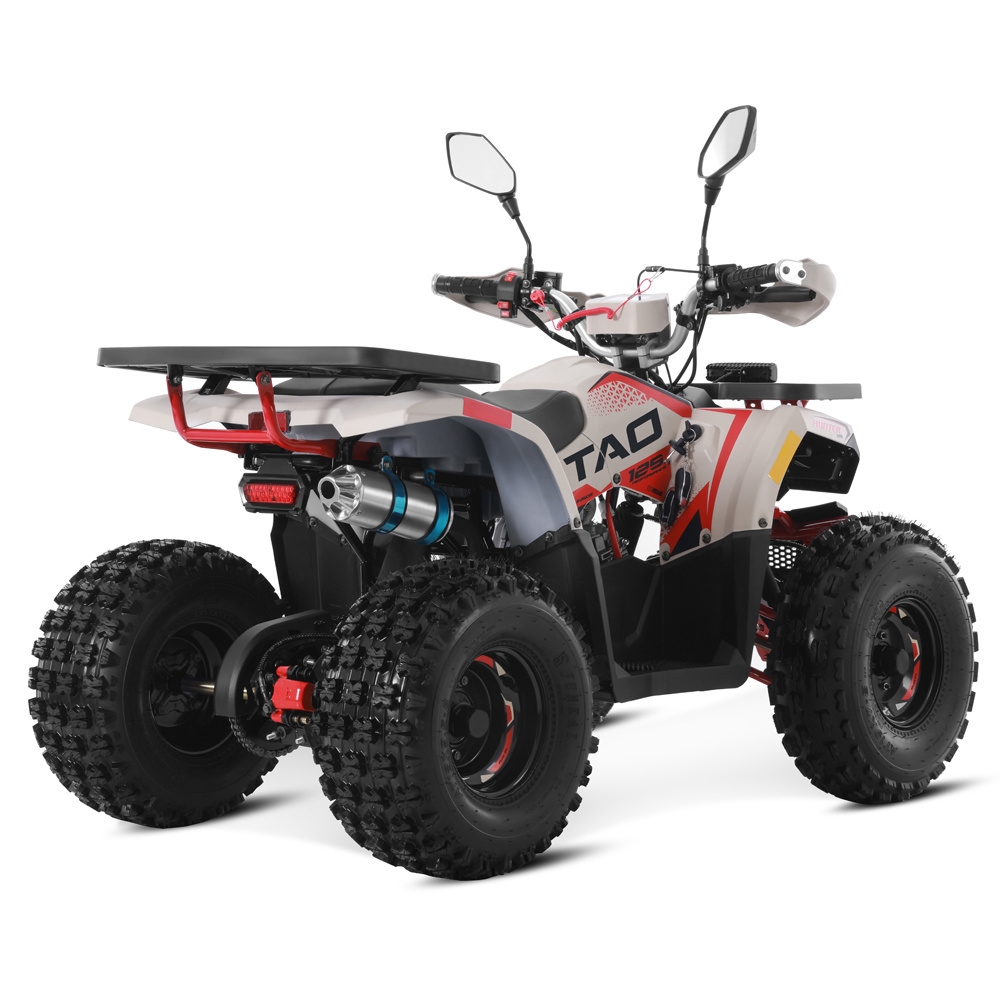 Tao Motor 2024 Off Road Farm Cheap ATV Gas Powered 4 wheel Quad Bike Automatic 4 stroke engine 125cc ATV