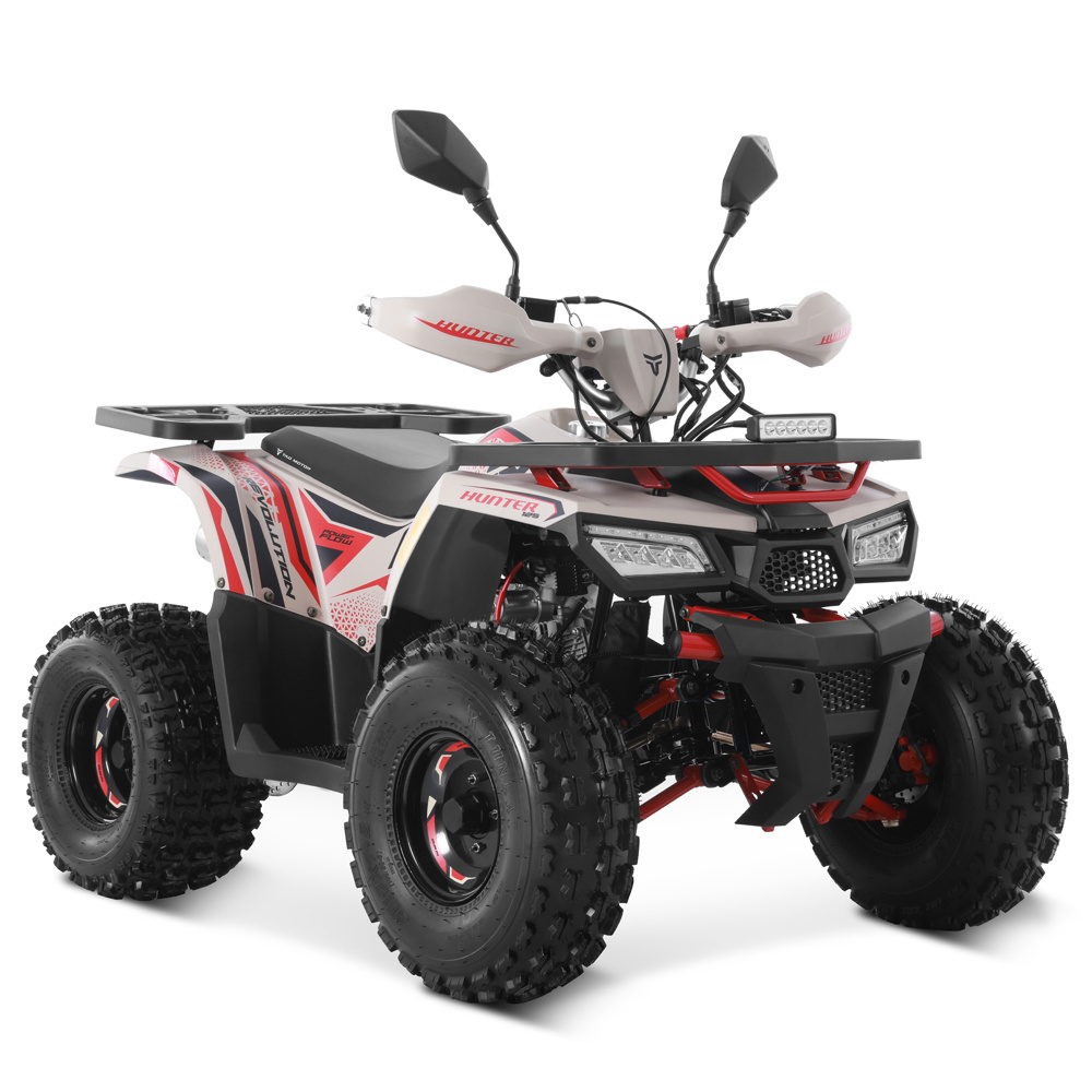 Tao Motor 2024 Off Road Farm Cheap ATV Gas Powered 4 wheel Quad Bike Automatic 4 stroke engine 125cc ATV