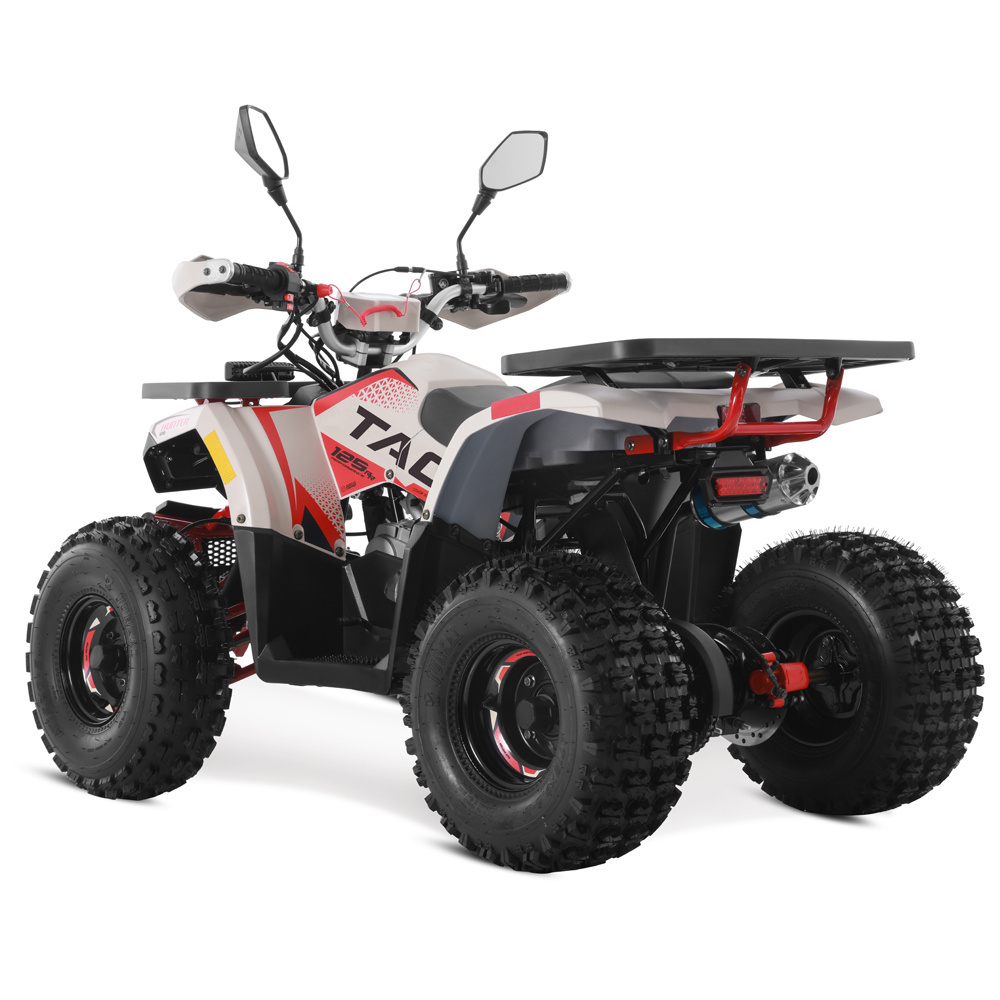 Tao Motor 2024 Off Road Farm Cheap ATV Gas Powered 4 wheel Quad Bike Automatic 4 stroke engine 125cc ATV