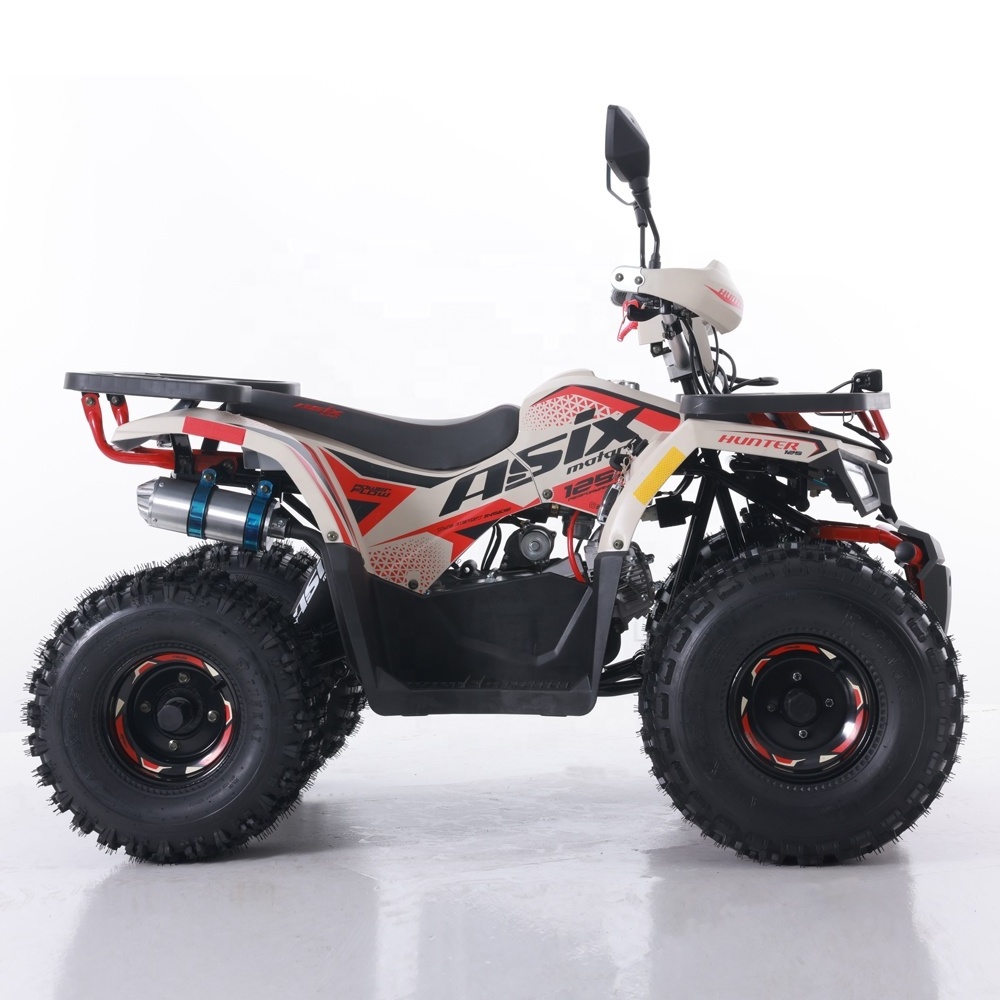 Tao Motor Automatic Chain Drive 2024 New ATV 125 Cheap Chinese Shopping Motorcycles from China Cc 1000 125CC Electric Start 2WD