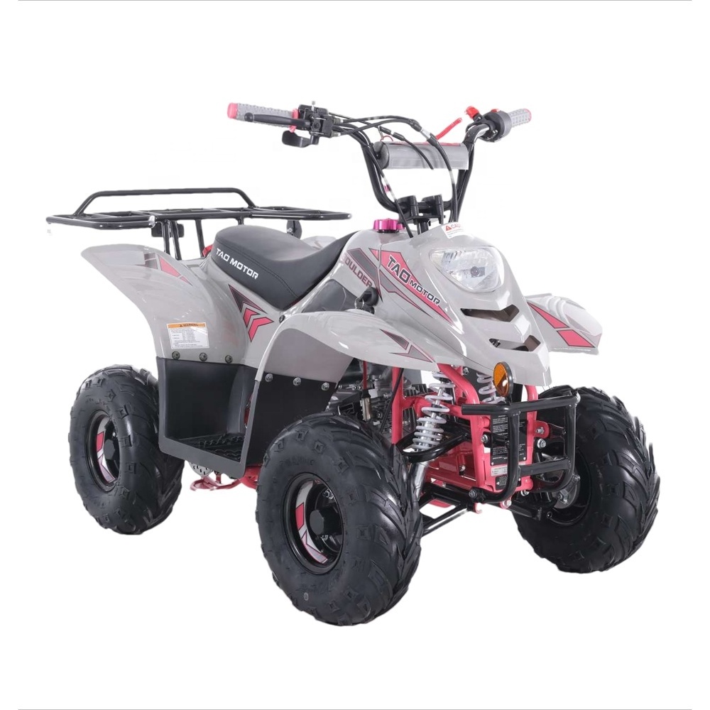 Tao Motor Gasoline Automatic Chain Drive Quad ATV 110cc with Reverse Gear