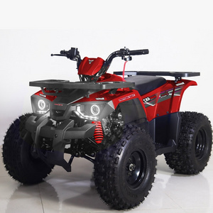 Tao Motor Drum Automatic 125CC Disc 110cc 125cc Quad Bike Atv for Kids 36V Electric Start Utv 4x4 1000cc Chain Drive Atv 125 2WD