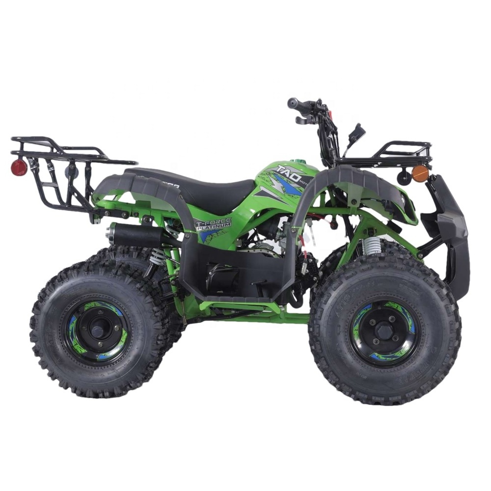 Tao Motor Kids Quadbike Off Road Vehicle 110cc ATV Automatic Atv 125cc Quad Bike Electric Start 125cc 4 Wheeler Chain Drive 2WD