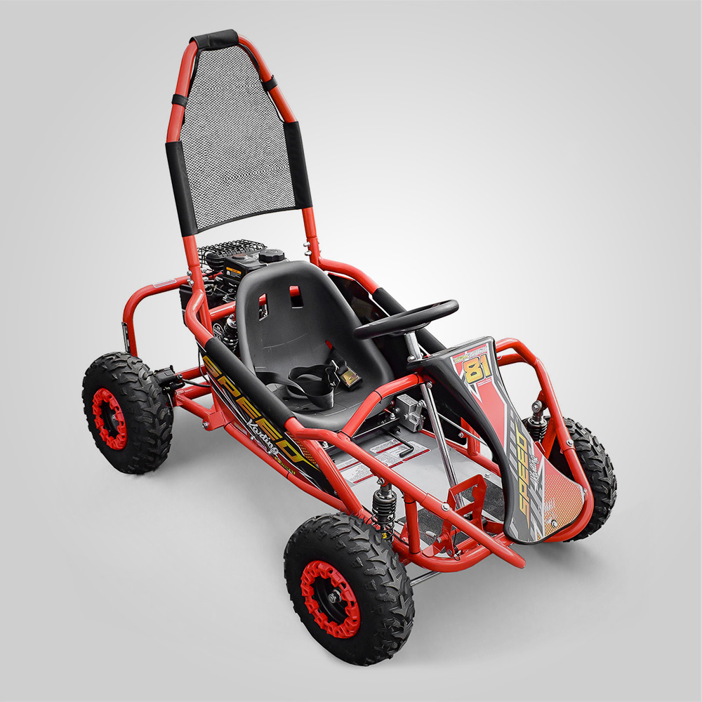 Tao Motor 36v Kids Electric Go Kart