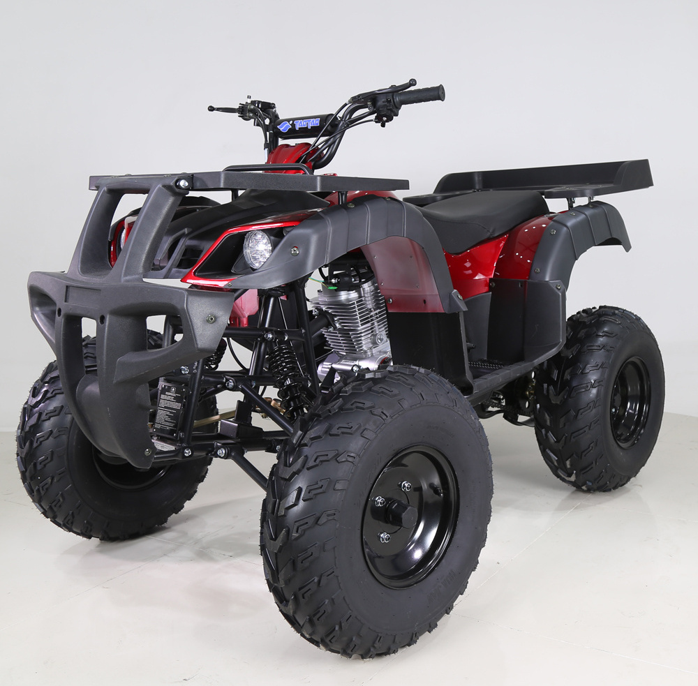 Tao Motor Steel Automatic Quad Bike 250cc Atv 250cc 4x4 for Adult Quad Bike Electric Start Atv 125cc Chain Drive Rear Disc Brake