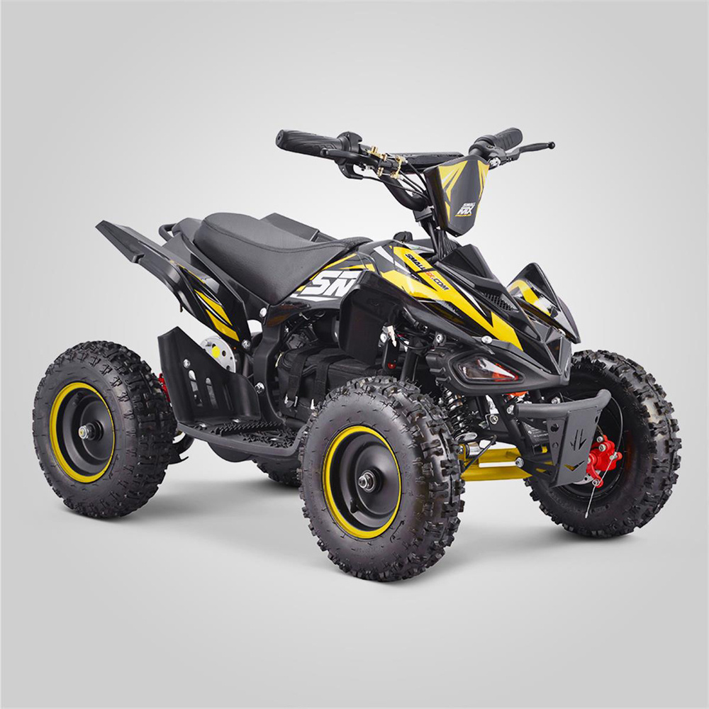 Tao Motor Mini Kids Electric ATVs Electric Quad