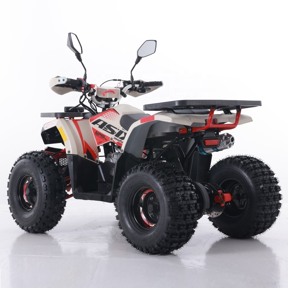 Tao Motor 2024 New ATV 125 Cheap Chinese Automatic Chain Drive Farm ATV 125cc ATV