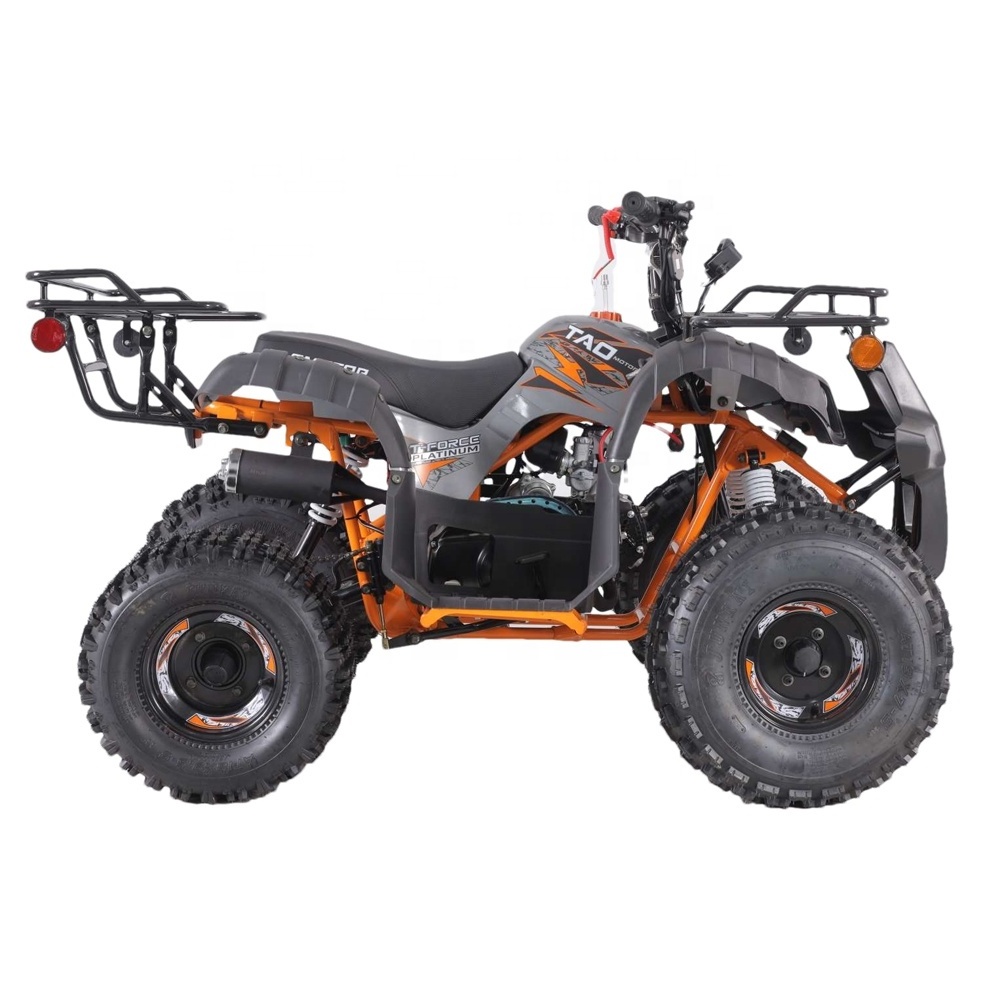 Tao Motor Automatic 12V 5AH Motor ATV 110 Customized All-terrain Four-wheel Beach Buggy Double Four-wheeler Adult Quad 1000cc