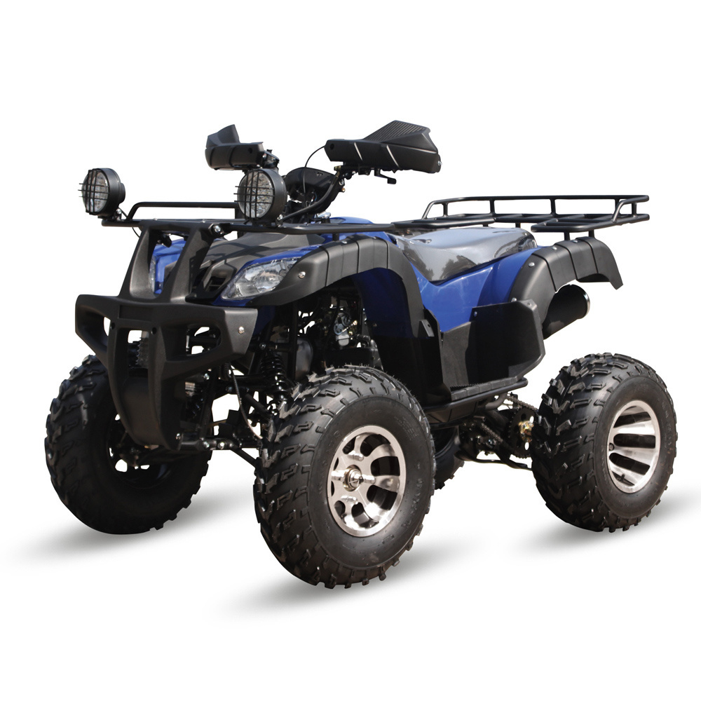 Tao Motor Steel Automatic Quad Bike 250cc Atv 250cc 4x4 for Adult Quad Bike Electric Start Atv 125cc Chain Drive Rear Disc Brake