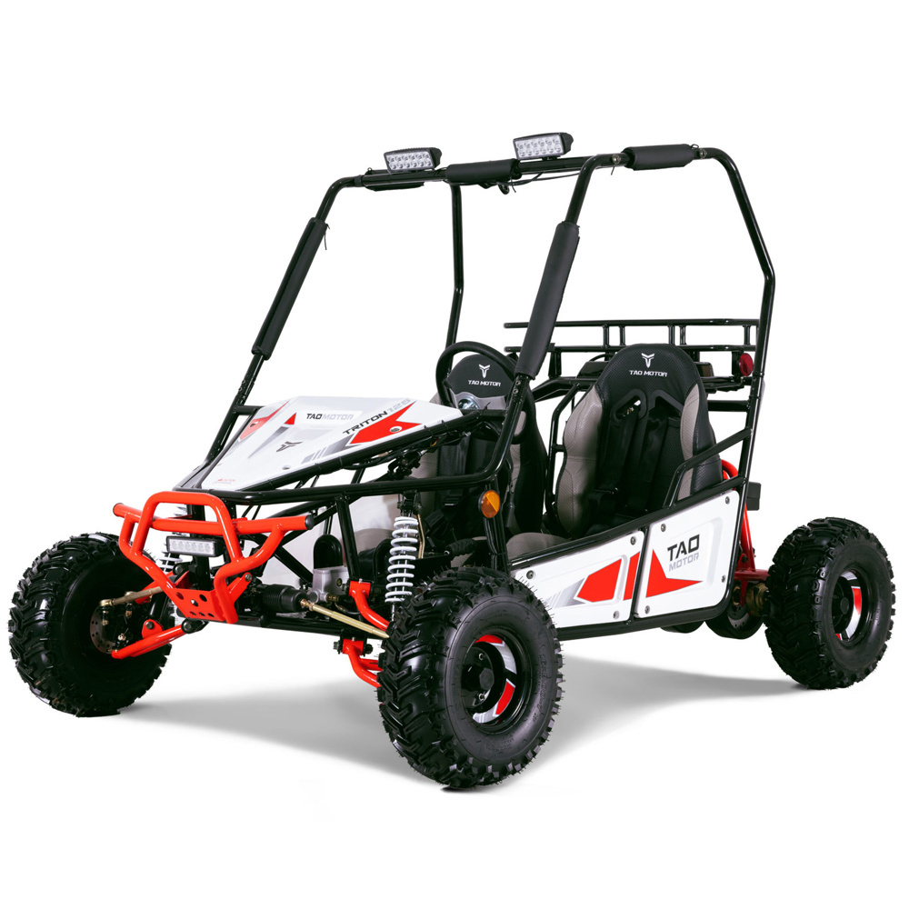 Tao Motor 2023 New Design Buggy 125cc Electric Go Karts for Adults