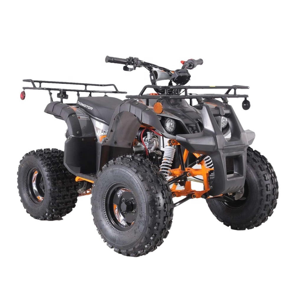 Tao Motor Automatic 12V 5AH Motor ATV 110 Customized All-terrain Four-wheel Beach Buggy Double Four-wheeler Adult Quad 1000cc